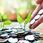 A Beginner’s Guide to Diversifying Your Investment Portfolio